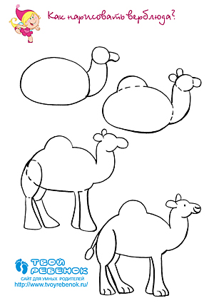 Как рисовать верблюда