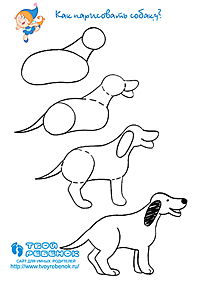 Как нарисовать собаку легко, поэтапно, карандашом. 3 варианта