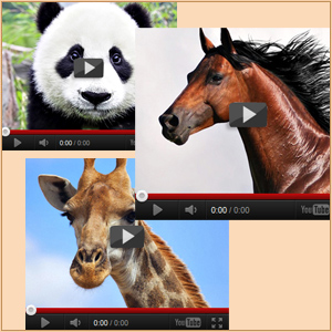 Видео про животных для детей