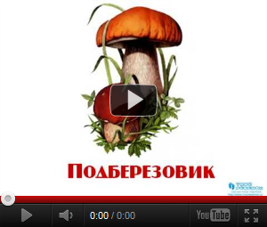 Видеопрезентация Съедобные грибы